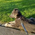IMG-20160914-WA0007
