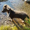 IMG-20160914-WA0011