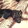 thumbnail_IMG_5809