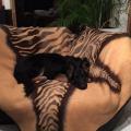 thumbnail_IMG_5810