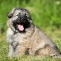 WG Photographies-18