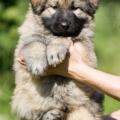 WG Photographies-2