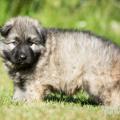 WG Photographies-22