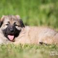 WG Photographies-27