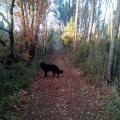 image000000(3)
