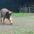 thumbnail_IMG_0866
