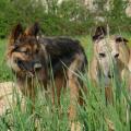 thumbnail_P1150218