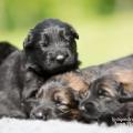 WG Photographies 2017-42