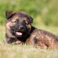 WG Photographies-40