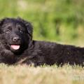 WG Photographies-56