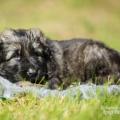 WG Photographies 2017-4