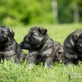 WG Photographies 2017-20