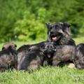 WG Photographies 2017-27