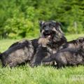 WG Photographies 2017-28