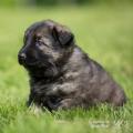 WG Photographies 2017-8