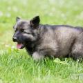 WG Photographies 2017-10