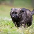 WG Photographies 2017-4