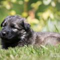 WG Photographies 2017-42