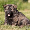WG Photographies-3