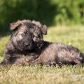 WG Photographies-5