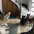 thumbnail_image1