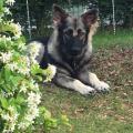 thumbnail_IMG_7326