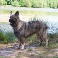 thumbnail_IMG_6522
