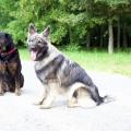 thumbnail_IMG_6575