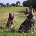 thumbnail_IMG_6936