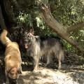 thumbnail_IMG_8540