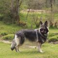 thumbnail_image17