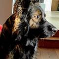 Wotan