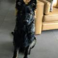 Wotan