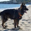 Wotan