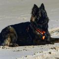 Wotan