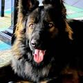 Wotan