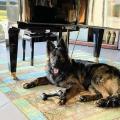 Wotan