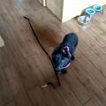 IMG_20180806_125905