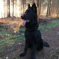 thumbnail_IMG_0300