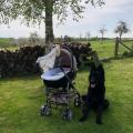 thumbnail_IMG_1265