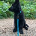 thumbnail_IMG_8305
