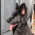 thumbnail_IMG_8500