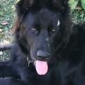thumbnail_IMG_0749