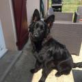 thumbnail_IMG_6581