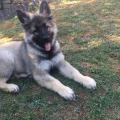IMG-20180905-WA0009