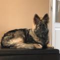thumbnail_IMG_0900
