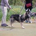 thumbnail_IMG_1014
