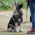 thumbnail_IMG_1025
