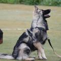 thumbnail_IMG_1034