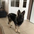 thumbnail_IMG_1058